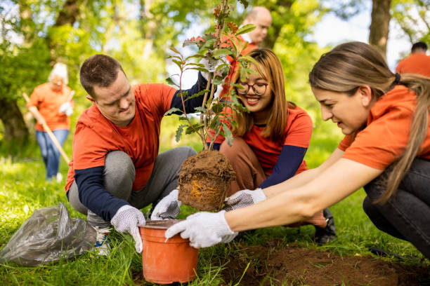 istock Group of volunteers planting trees in a forest 1536778029