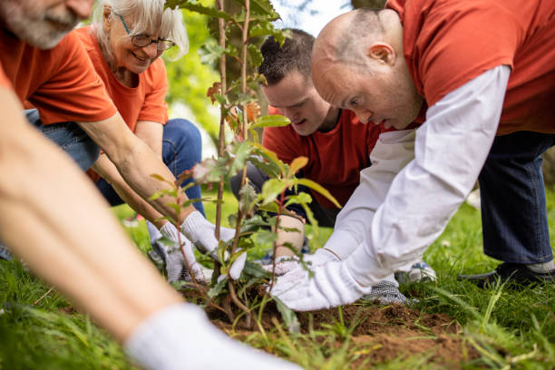 istock Group of volunteers planting trees in a forest 1536785178