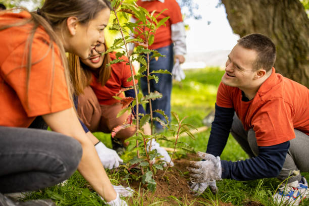 istock Group of volunteers planting trees in a forest 1536785767