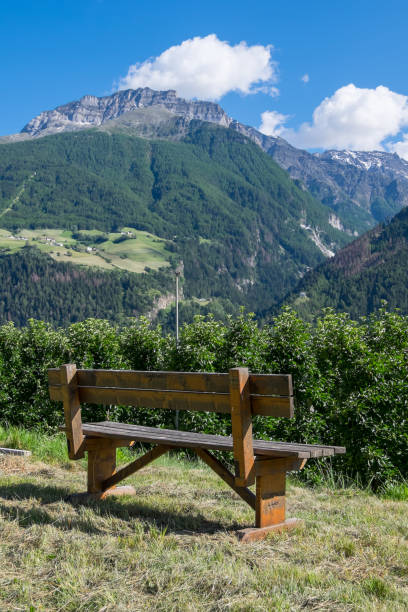 istock Rural landscape in Sudtirol 1536792863