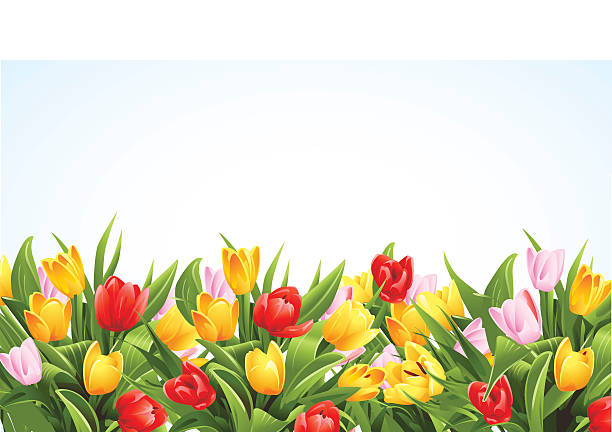 Flowers background vector art illustration