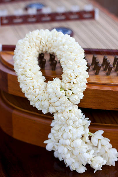 jasmine garland - jasmine wreath garland dulcimer imagens e fotografias de stock