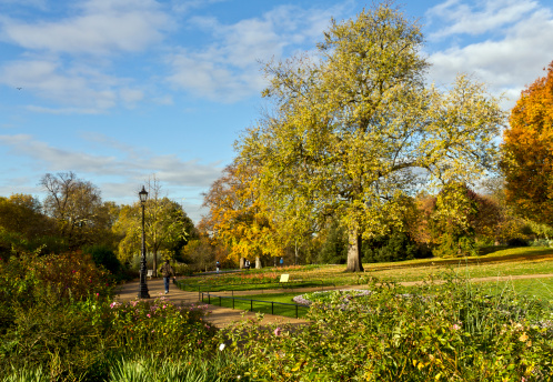 Hyde Park on a sunny autumn morning, London
