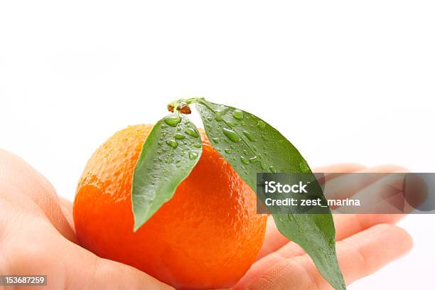 人間の手を保持タンジェリンの葉と滴の水 - しずくのストックフォトや画像を多数ご用意 - しずく, みずみずしい, オレンジ色