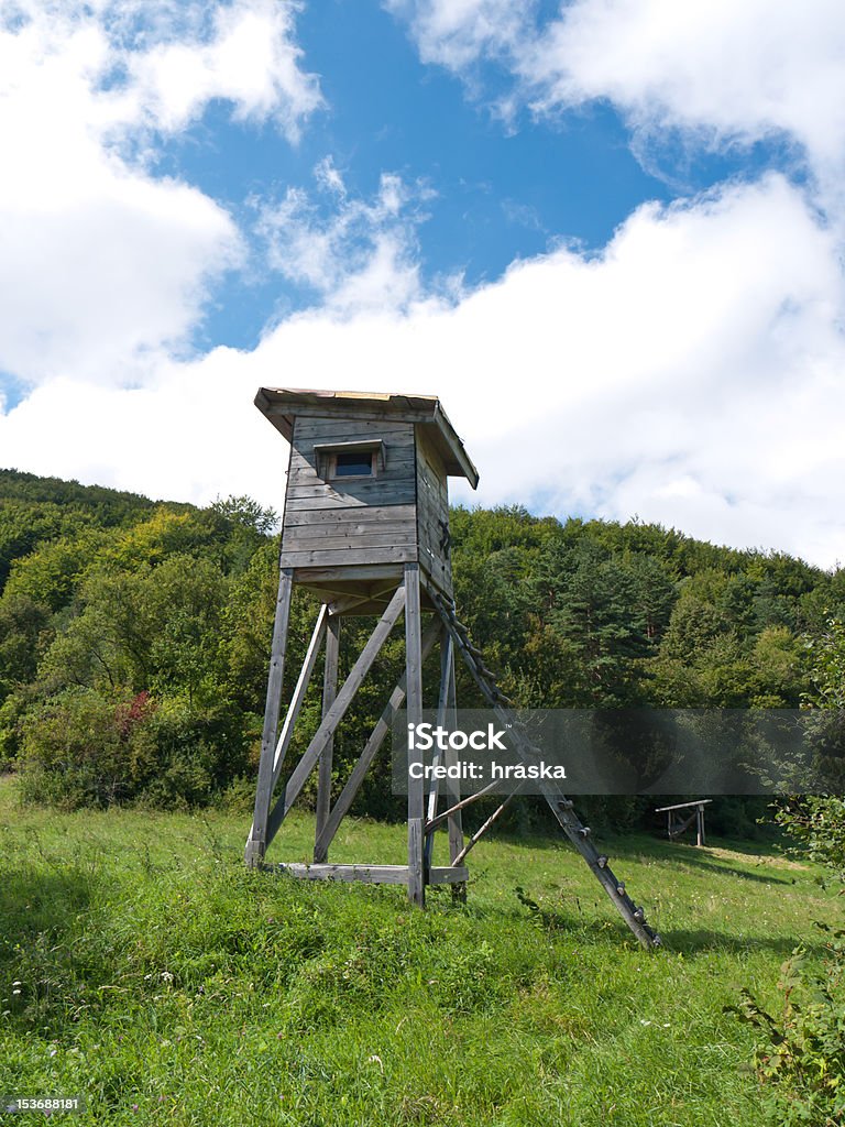 Torre de caza - Foto de stock de Animales cazando libre de derechos