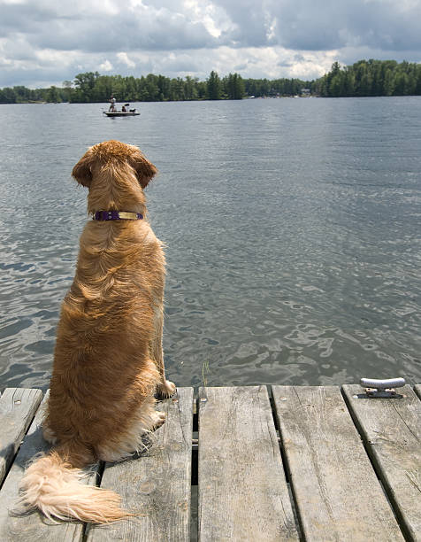 istock I'd rather be fishing 153688438