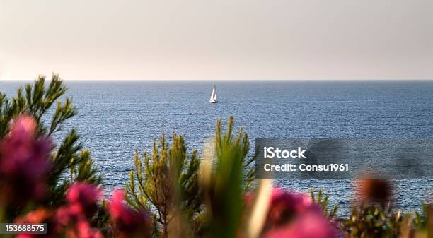 Barco De Vela Foto de stock y más banco de imágenes de Aire libre - Aire libre, Aislado, Azul