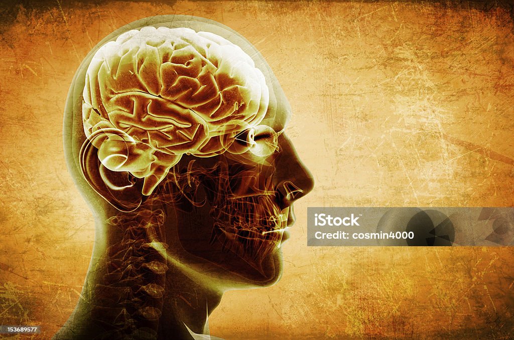 Transparent profile of a head and brain grunge transparent head; science, technology concept Abstract Stock Photo