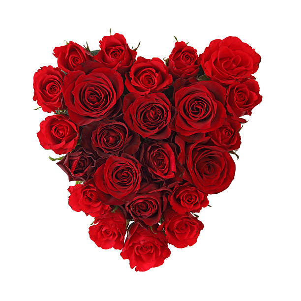 istock Heart of roses 153689951
