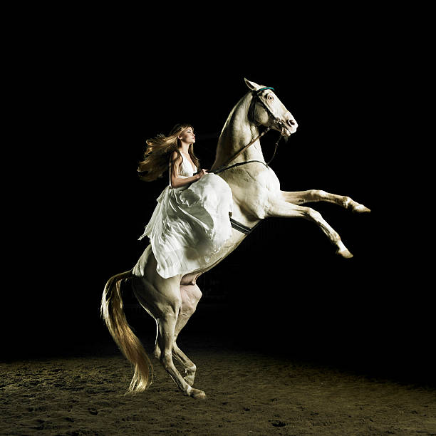 istock Beautiful girl on a white horse 153690381