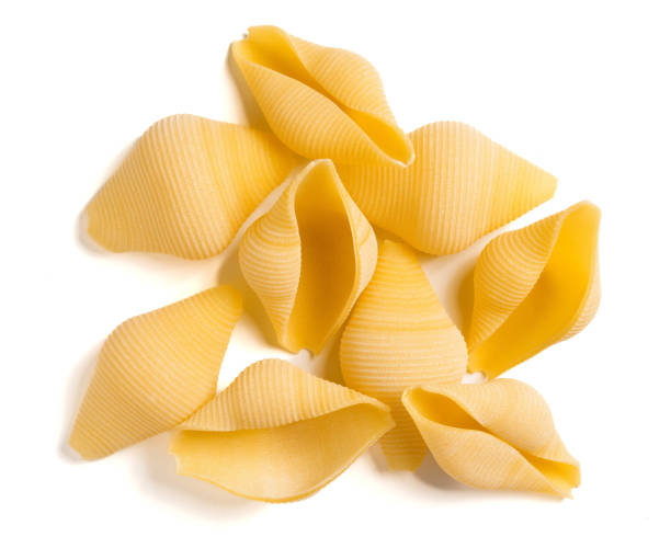 istock Italian pasta Conchiglioni 1536908673