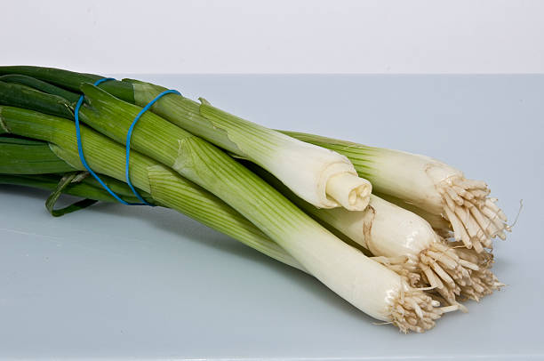 Onions stock photo