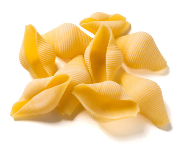 istock Italian pasta Conchiglioni 1536925279