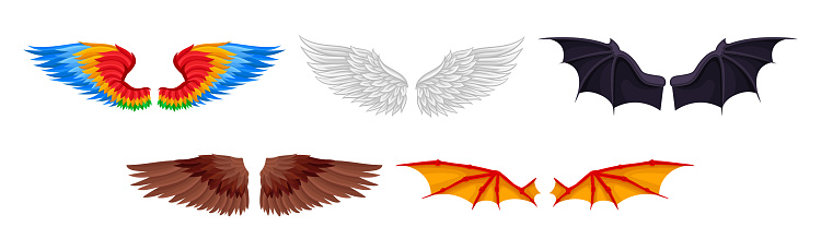 Colorful Wings of Different Flying Creature Vector Set. Pair of Spread Wings