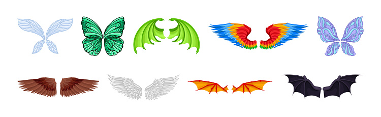 Colorful Wings of Different Flying Creature Vector Set. Pair of Spread Wings