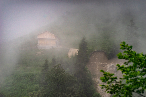 View of a foggy landscape in Ayder, Rize.