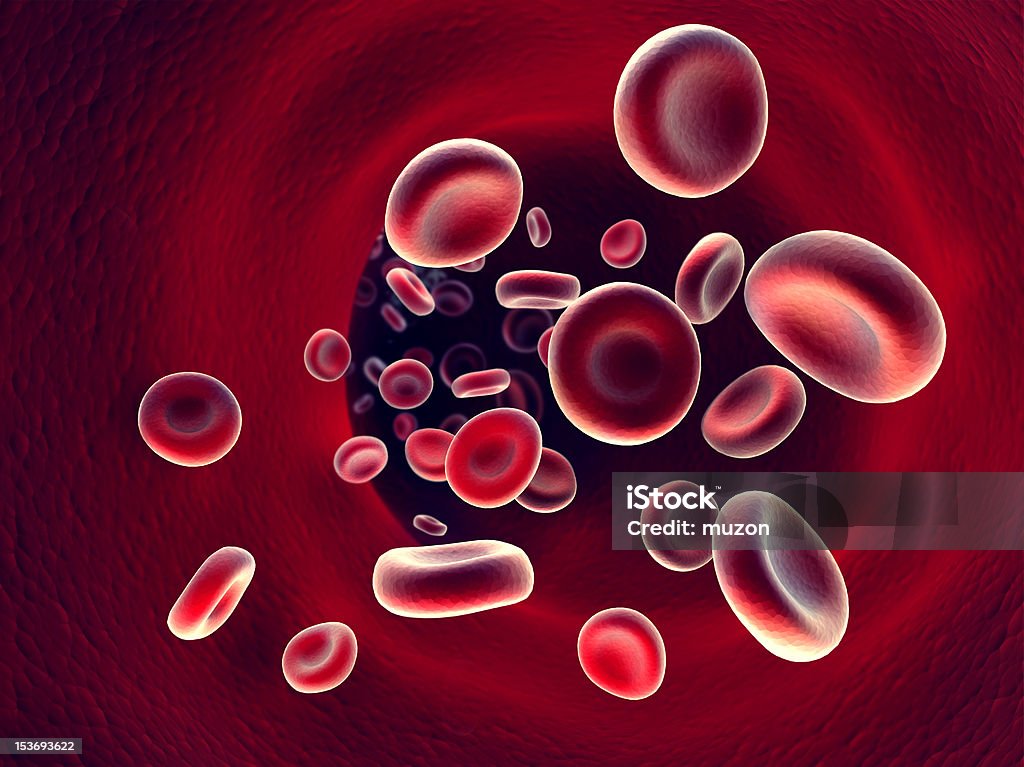 blood inside an artery 3d image of the flow of blood inside an artery Biological Cell Stock Photo