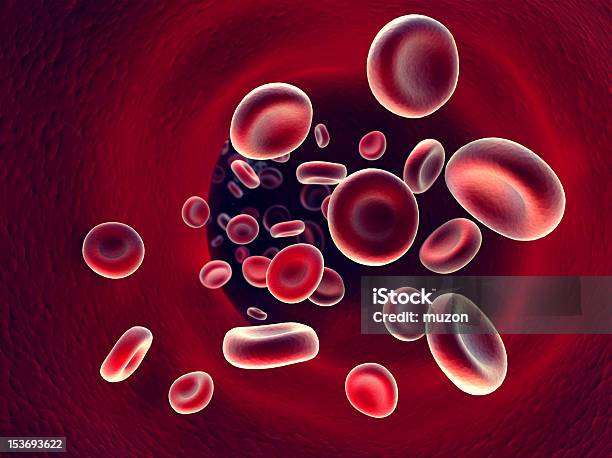 Blood Inside An Artery Stock Photo - Download Image Now - Biological Cell, Blood, Blood Cell