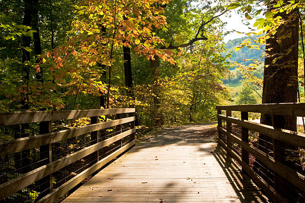 Autumn Scene from Wooden Foot Bridge stock photo