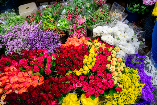 Lush selection of brightly coloured flowers in a florists shop in Harajuku, Tokyo, Japan