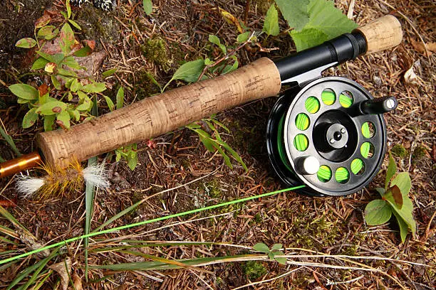 Fly fishing rig for salmon