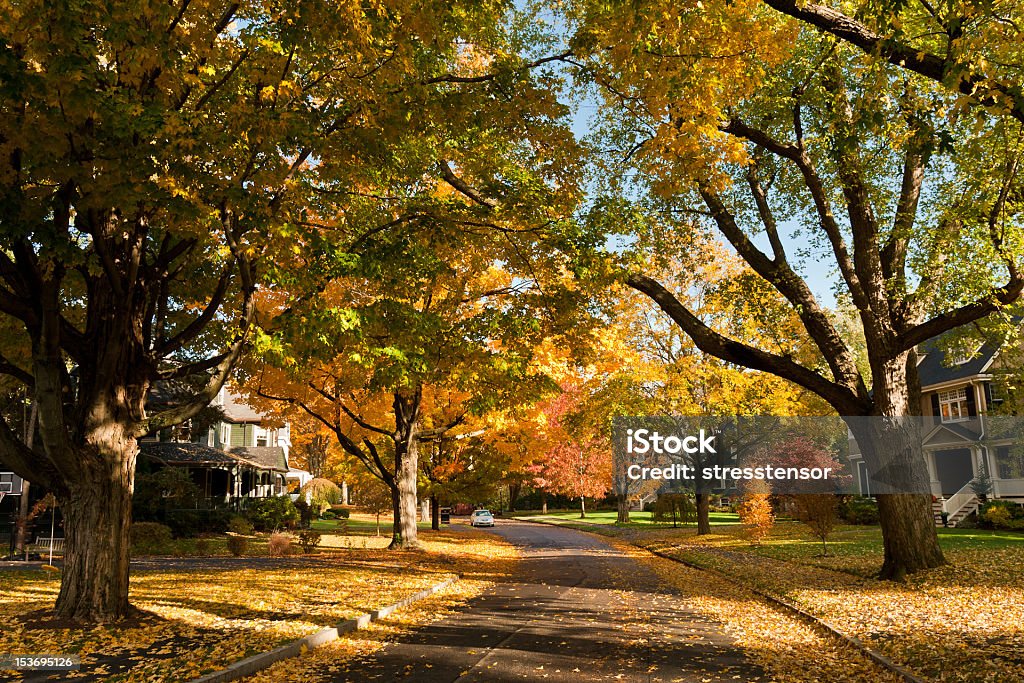 Residential road in Newton, MA in fall A residential road in Newton, MA in fall Massachusetts Stock Photo