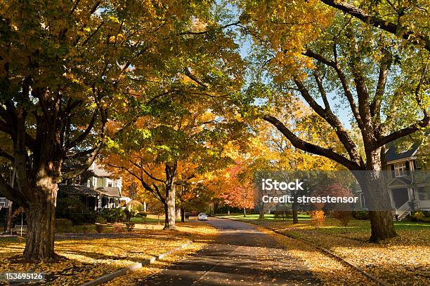 Residential Road In Newton Ma In Fall Stock Photo - Download Image Now - Massachusetts, Newton - Massachusetts, Autumn