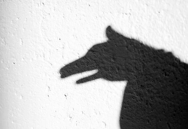 istock Shadow of animal 153695779