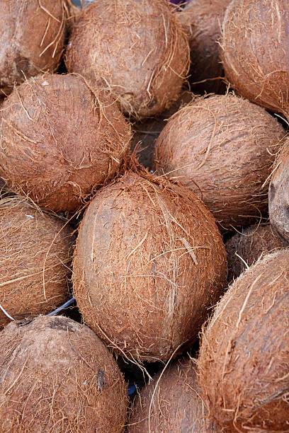istock Tasty organic coconuts at local market 153695844