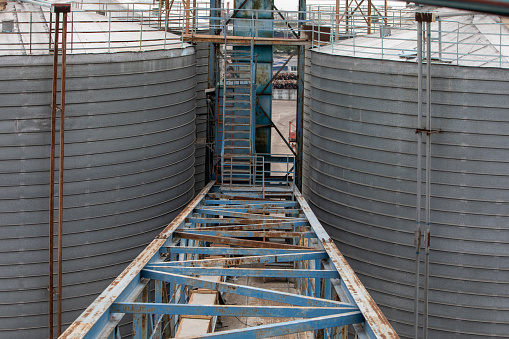 Warehouse storage of the harvest. Barley field near