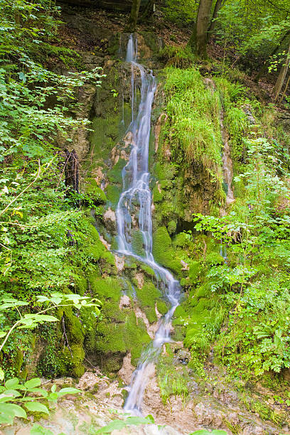 water fall stock photo