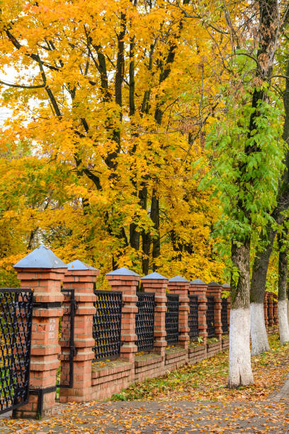 istock Autumn scenery in Europe 1536979629