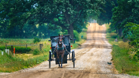 Gorgeous photo of a beautiful black horse pulling a traditional Amish buggy up a steep hill in Amish country in Ohio, near Berlin and Hope.  The red barns and a silo on a farm can be seen in the background.