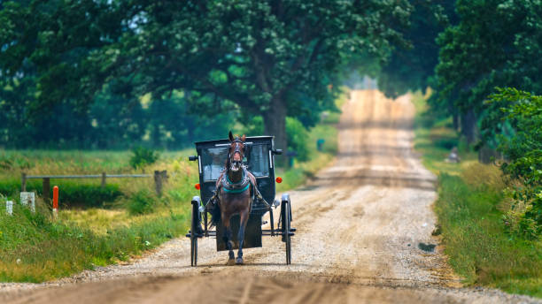 amish buggy country road Amish buggy driving through a country road in Indiana images of amish people stock pictures, royalty-free photos & images