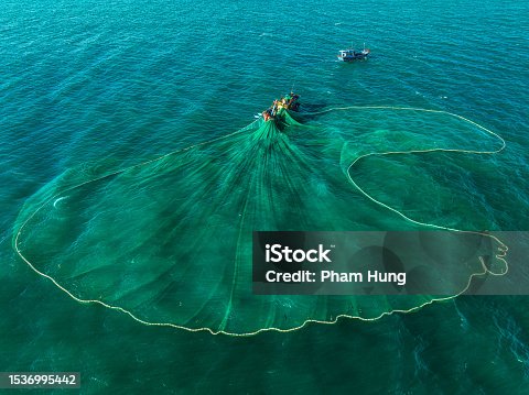 istock Netting anchovies  on Tuy Hoa sea 1536995442