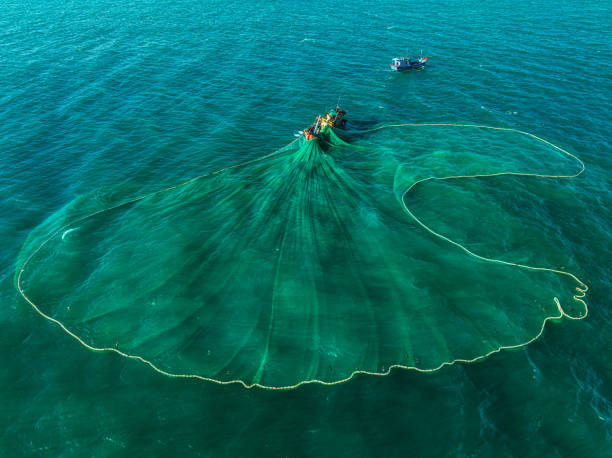 Netting anchovies on Tuy Hoa sea Drone view of fishing boat is netting on the sea of Tuy Hoa, Phu Yen province, central Vietnam fish trawler stock pictures, royalty-free photos & images