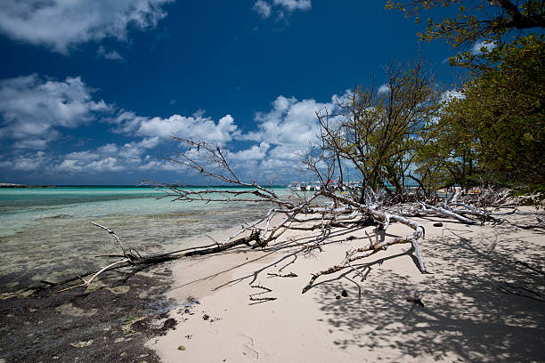 istock Island with boats and driftwood 153699945