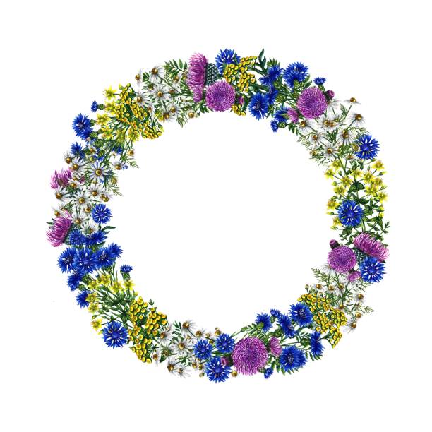 istock Wreath with wild flowers. Watercolor hand drawn illustration. For design solutions for backgrounds, packaging, labels and textiles. For banners, flyers and postcards, prints. 1537009276
