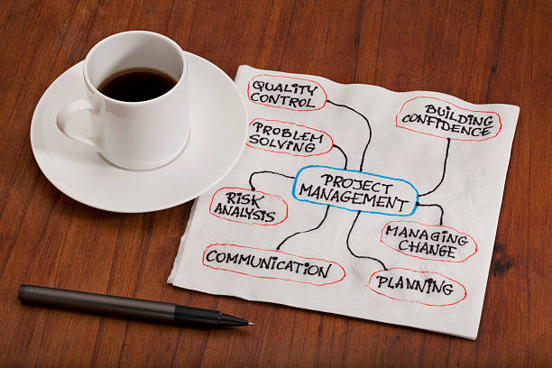 istock project management concept - napkin doodle 153701181