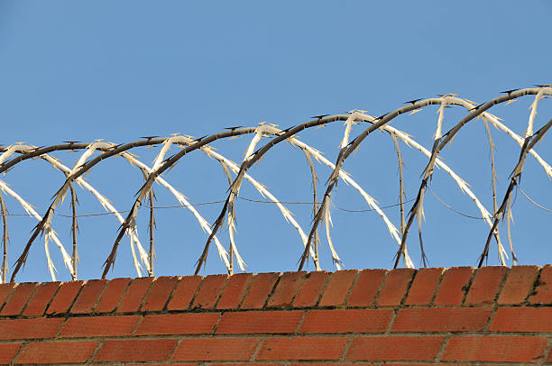 Brick wall with razor wire stock photo