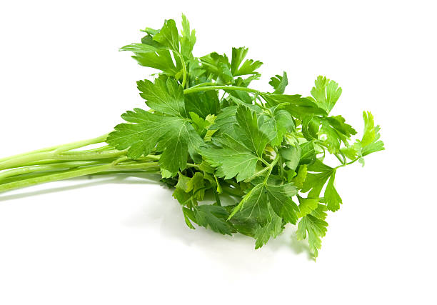 istock bunch of parsley 153701509