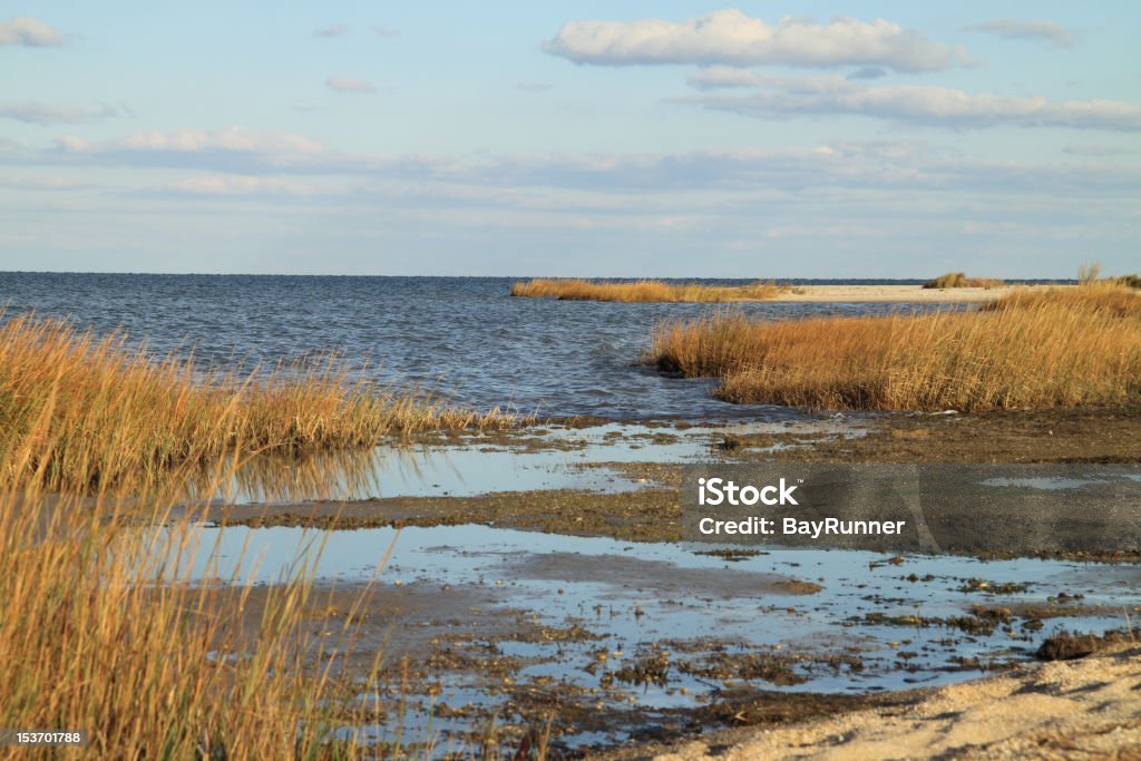 Chesapeake Bay Beach und Marsh kombiniert mit Wolken - Lizenzfrei Chesapeake Bay Stock-Foto