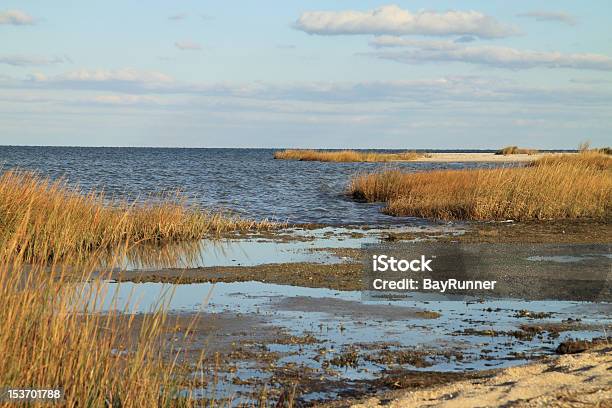 Chesapeake Bay Beach Und Marsh Kombiniert Mit Wolken Stockfoto und mehr Bilder von Chesapeake Bay