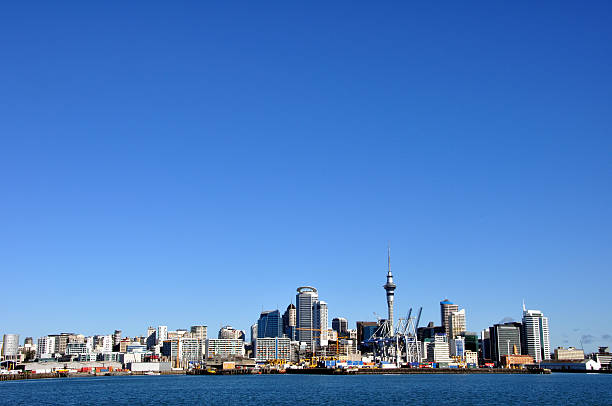 istock Auckland City from the harbour 153702655