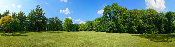 parque de la ciudad - panoramic fotografías e imágenes de stock