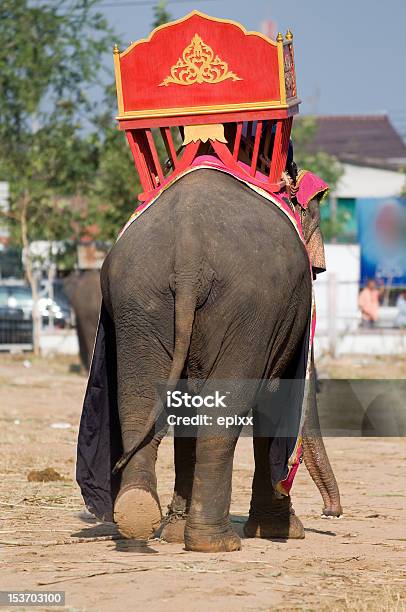 Vista Posteriore Di Elefante Asiatico Con Tradizionale Color Cuoio - Fotografie stock e altre immagini di Animale