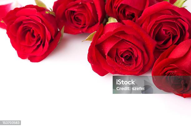 Ramo De Rosas Foto de stock y más banco de imágenes de Amor - Sentimiento - Amor - Sentimiento, Arreglo, Arreglo floral