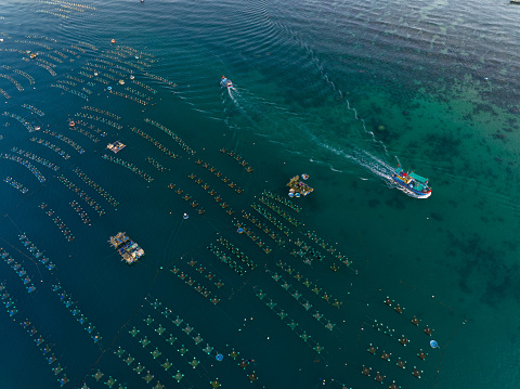 Drone view of Lobster farms on Hon Yen beach, Phu Yen province, central Vietnam