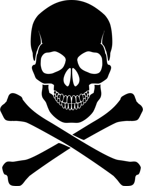 totenkopf und totenkopf - menschlicher schädel stock-grafiken, -clipart, -cartoons und -symbole