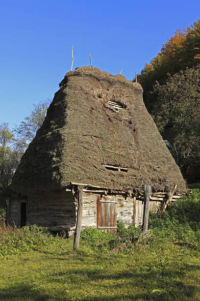 istock Traditional house from Transylvania,Romania 153703869